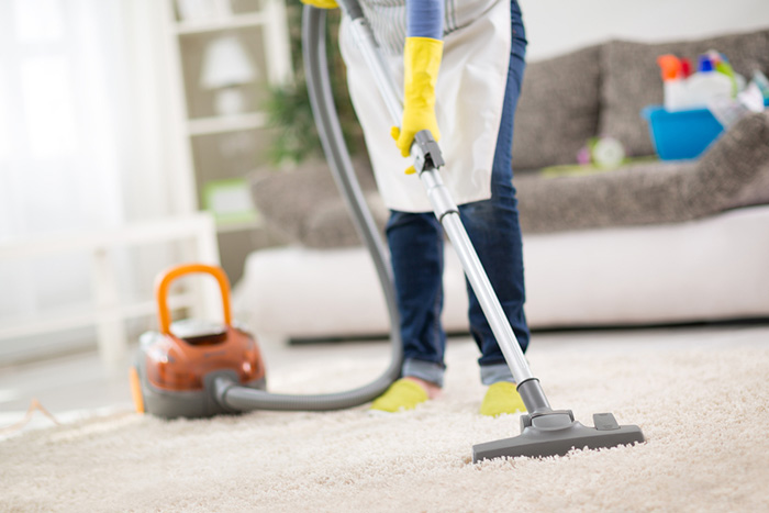 Professional carpet cleaning service